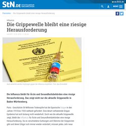 Influenza: Die Grippewelle bleibt eine riesige Herausforderung - Panorama