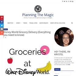 Groceries at Disney World