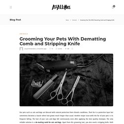 Grooming Your Pets With Dematting Comb and Stripping Knife