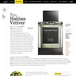 Grooming > Fragrances > The Making of a Fragrance: Zegna Haitian Vetiver
