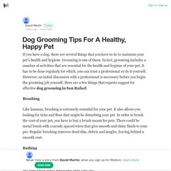 Dog Grooming Tips For A Healthy, Happy Pet