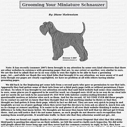 Grooming Your Miniature Schnauzer