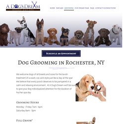 Dog Grooming Rochester NY, Dog Training Rochester, Doggy Day Spa, Dog Groomers Pittsford, Fairport, Brighton NY