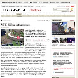 Gärtnern in der Großstadt: Wo die Berliner gärtnern können - Stadtleben