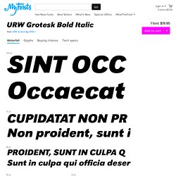 URW Grotesk Bold Italic