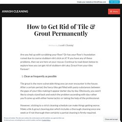 How to Get Rid of Tile & Grout Permanently – awash cleaning