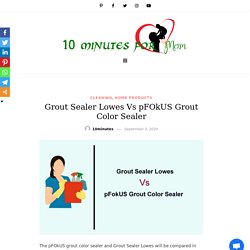 Grout Sealer Lowes Vs pFOkUS Grout Color Sealer