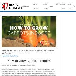 How to Grow Carrots Indoors - What You Need to Know