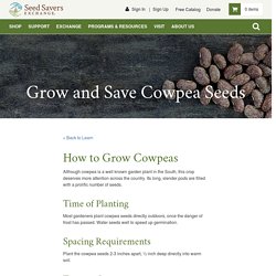 Cowpeas - Seed Savers Exchange