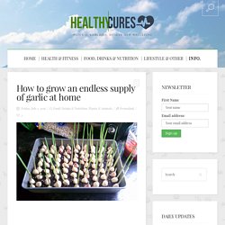 How to grow an endless supply of garlic at home
