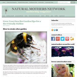 Grow Your Own Bee Garden: 7 Tips for a Bee-Friendly Habitat