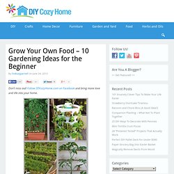 Grow Your Own Food – 10 Gardening Ideas for the Beginner