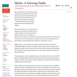How to Grow Melons