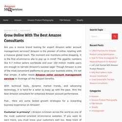 Grow Online With The Best Amazon Consultants