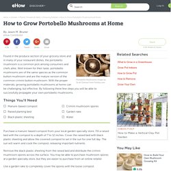 How to Grow Portobello Mushrooms at Home