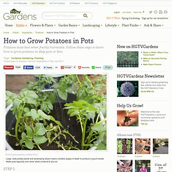 How To Grow Potatoes in Pots : Potatoes : HGTVGardens