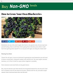 How to Grow Your Own Blueberries