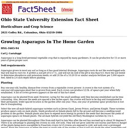Growing Asparagus In The Home Garden, HYG-1603-94