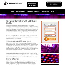 Growing Cannabis With Leds