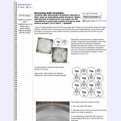 Growing Salt Crystals.