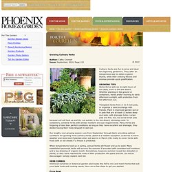 Growing Culinary Herbs - Phoenix Home & Garden