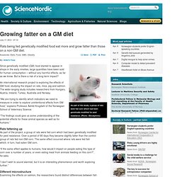 Growing fatter on a GM diet