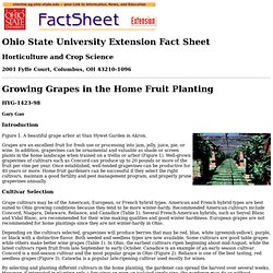 Growing Grapes in the Home Fruit Planting, HYG-1423-98