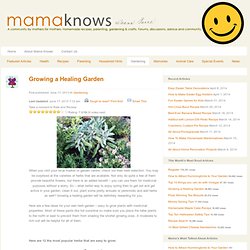 Growing a Healing Garden