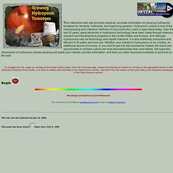 Growing Hydroponic Tomatoes Home Page