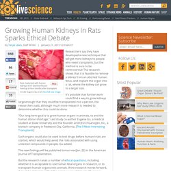 Growing Human Kidneys in Rats Sparks Ethical Debate