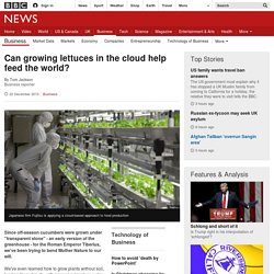 Can growing lettuces in the cloud help feed the world?