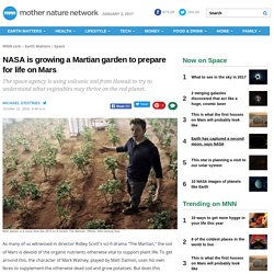 NASA is growing a Martian garden to prepare for life on Mars