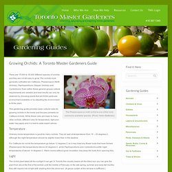 Growing Orchids: A Toronto Master Gardeners Guide - Toronto Master Gardeners