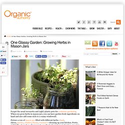 One Glassy Garden: Growing Herbs in Mason Jars