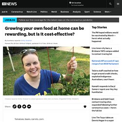 Growing your own food at home can be rewarding, but is it cost-effective?