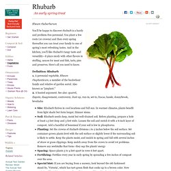 Growing Rhubarb
