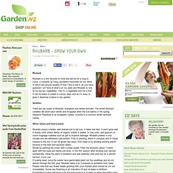 Rhubarb - Grow Your Own - Garden NZ: Gardening New Zealand - Home garden, gardening, garden, flower, roses, tree, plant, nursery, herbs