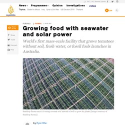 Growing food with seawater and solar power - News from Al Jazeera
