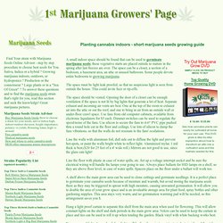Growing weed - Short marijuana seeds growing guide