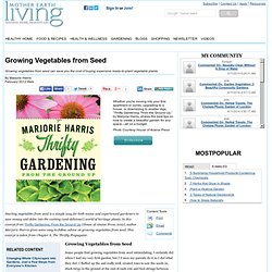 Growing Vegetables from Seed - Eat Healthy