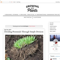 Growing with plants: techniques
