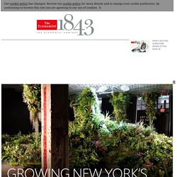 Growing New York’s underground park