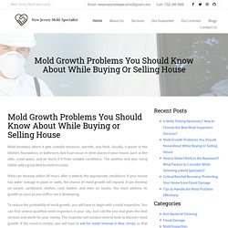 Mold Growth Problems You Should Know About While Buying or Selling House