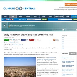 Study Finds Plant Growth Surges as CO2 Levels Rise