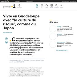Vivre en Guadeloupe avec "la culture du risque", comme au Japon - Guadeloup