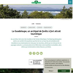 La Guadeloupe, un archipel de forêts à fort attrait touristique