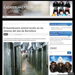 El Guantánamo animal oculto en los sótanos del zoo de Barcelona