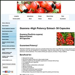 Guarana extract powder - buy online in NZ