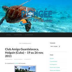 Guardalavaca – www.plongeeenapnee.com – Blogue Québécois traitant sur la plongée en apnée dans les Caraïbes, les antilles et les Maldives