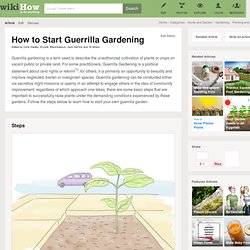 How to Start Guerilla Gardening: 8 Steps